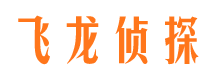 开平市侦探调查公司